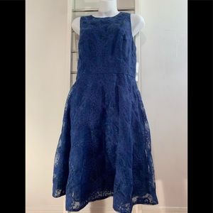 Donna Morgan Blue Fit n’ Flare Lace Sleeveless Dress